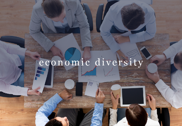 economic diversity