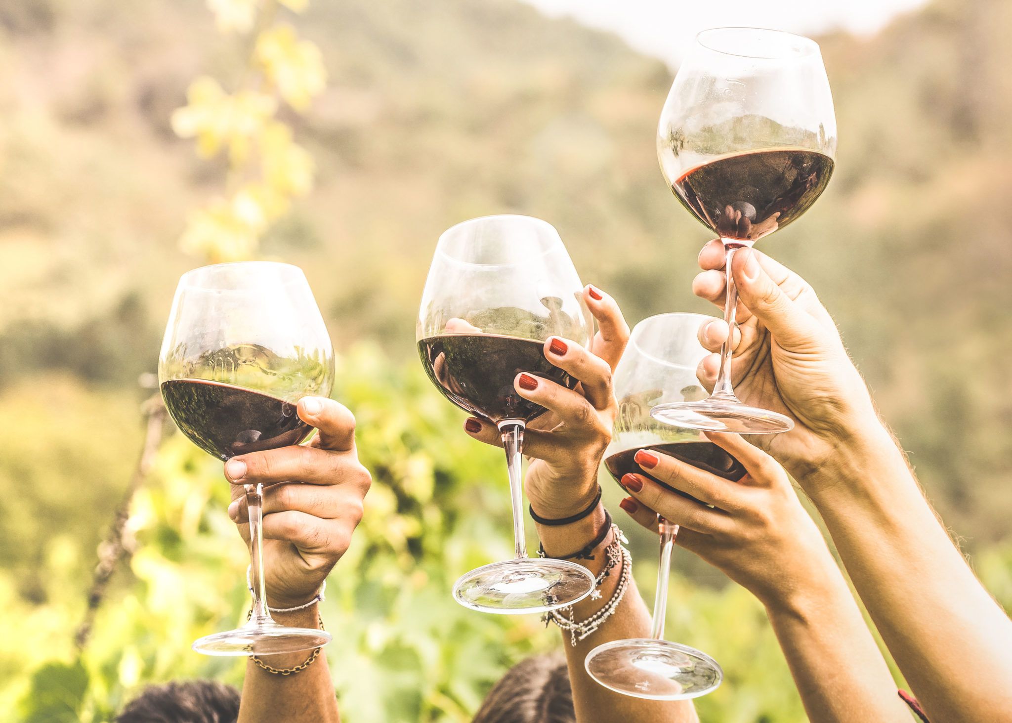 Hands toasting red wine glasses