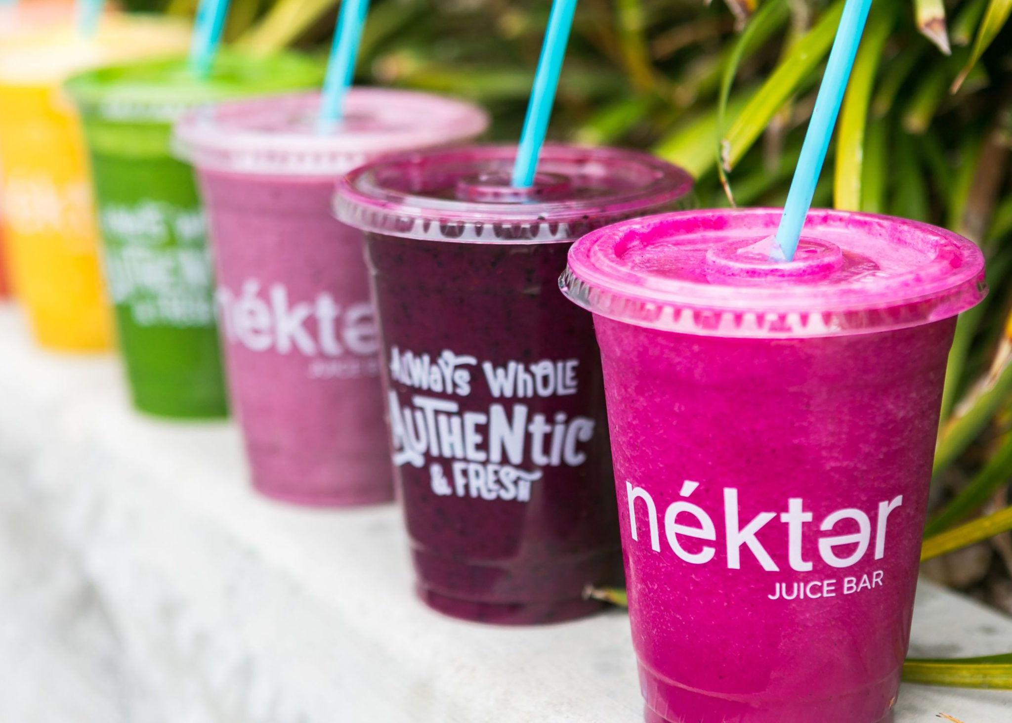 A row of smoothies from Nektar Juice Bar