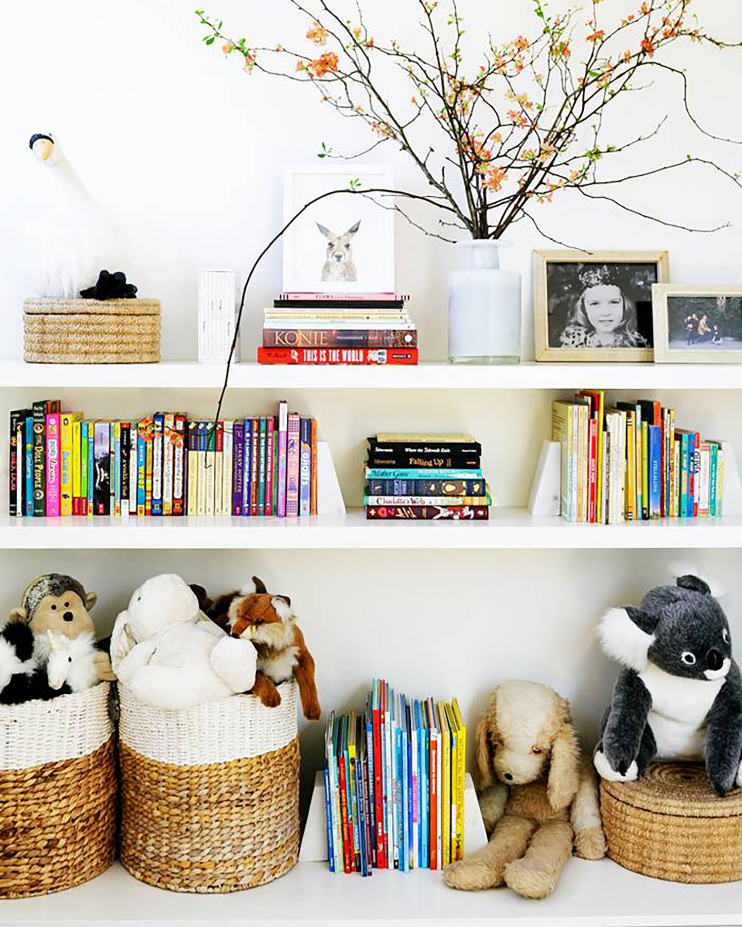 Shelves with childrens books and toys