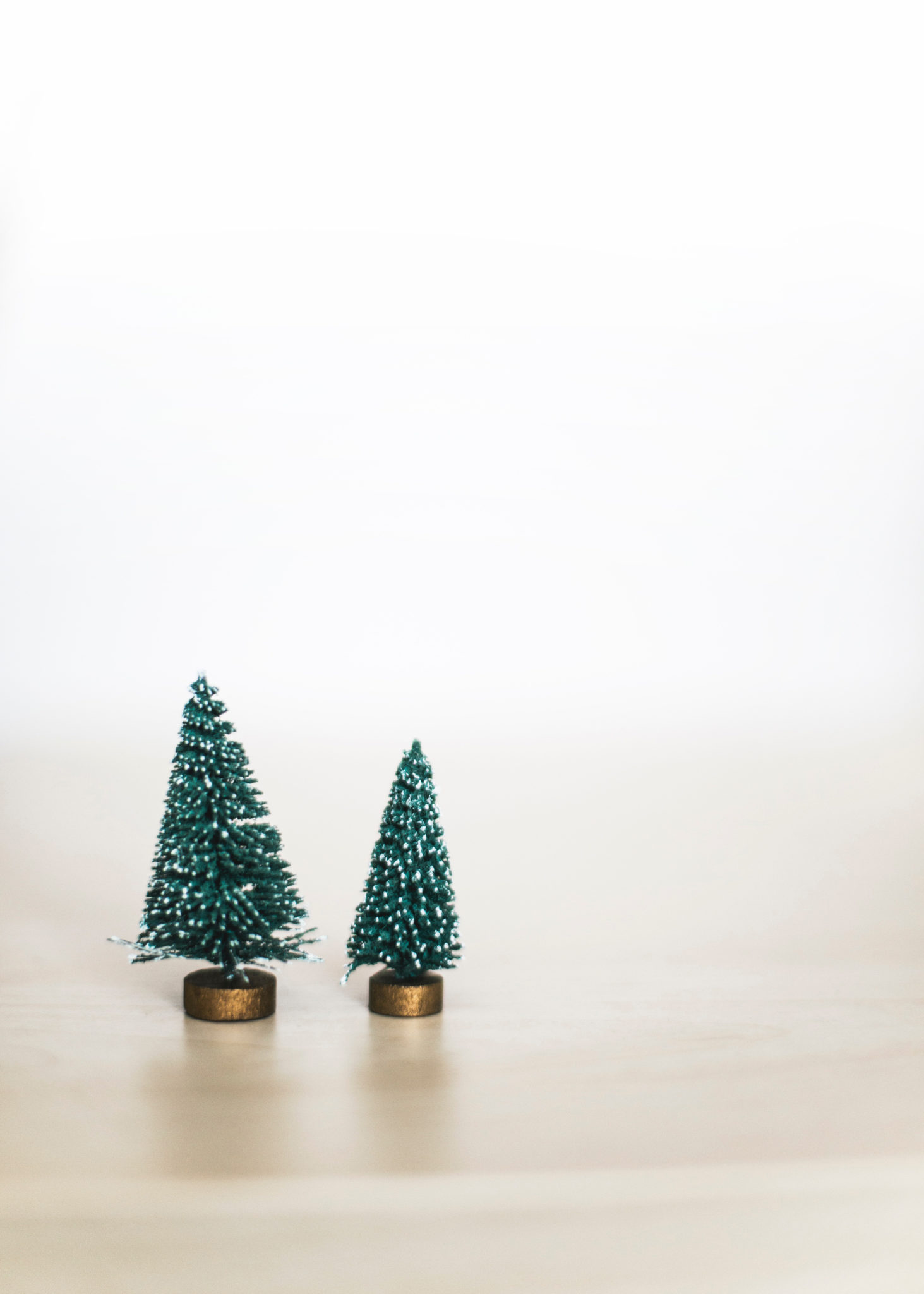 Small decorative pine trees