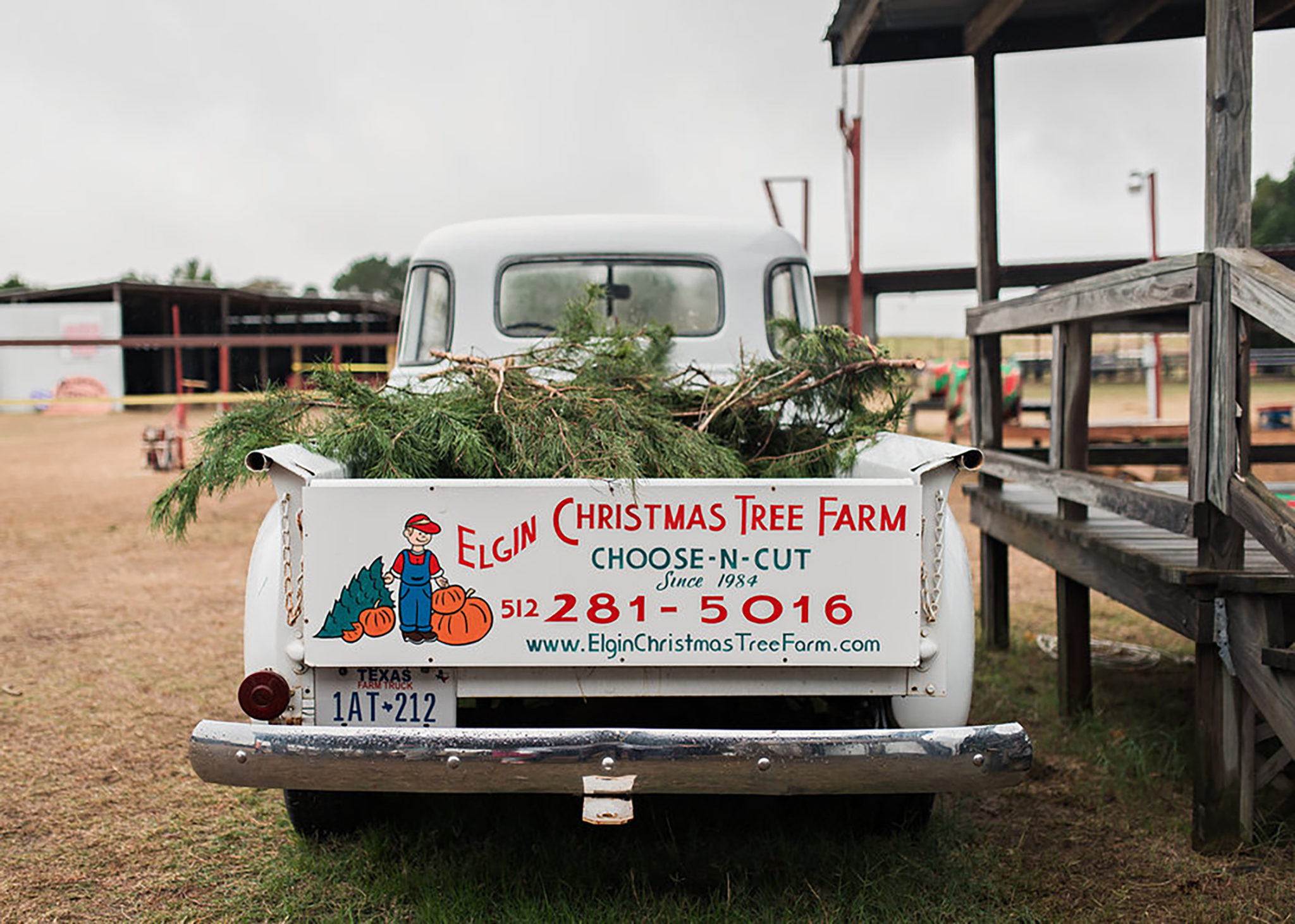 Truck with Christmas trees in it