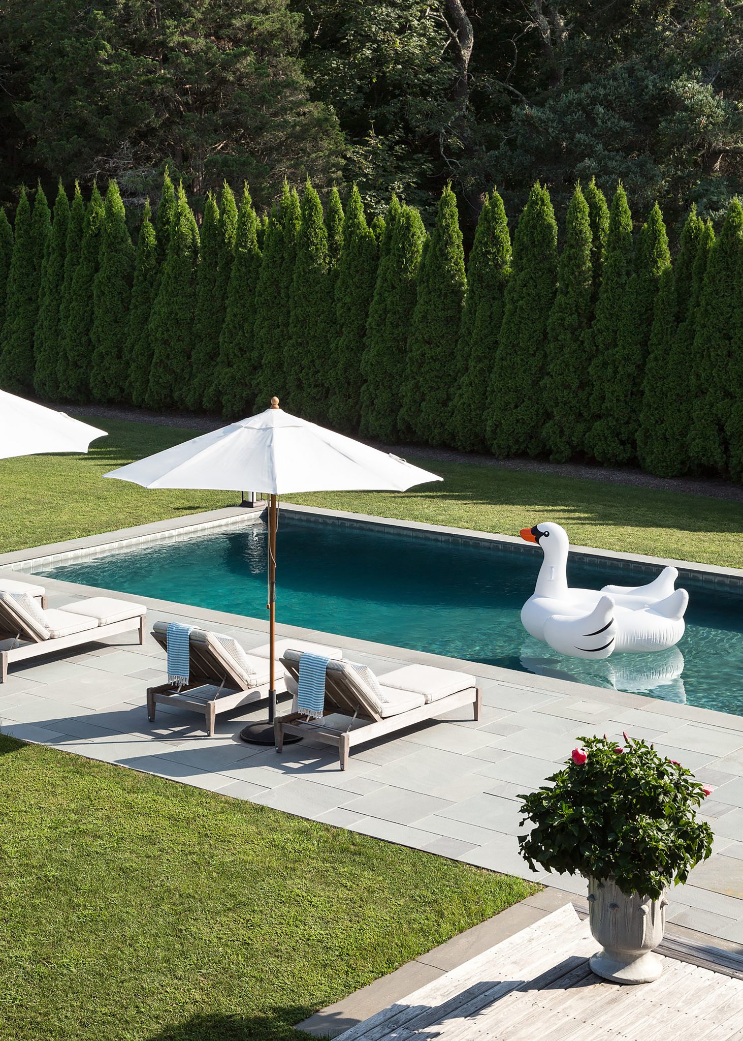 Pool with a swan float