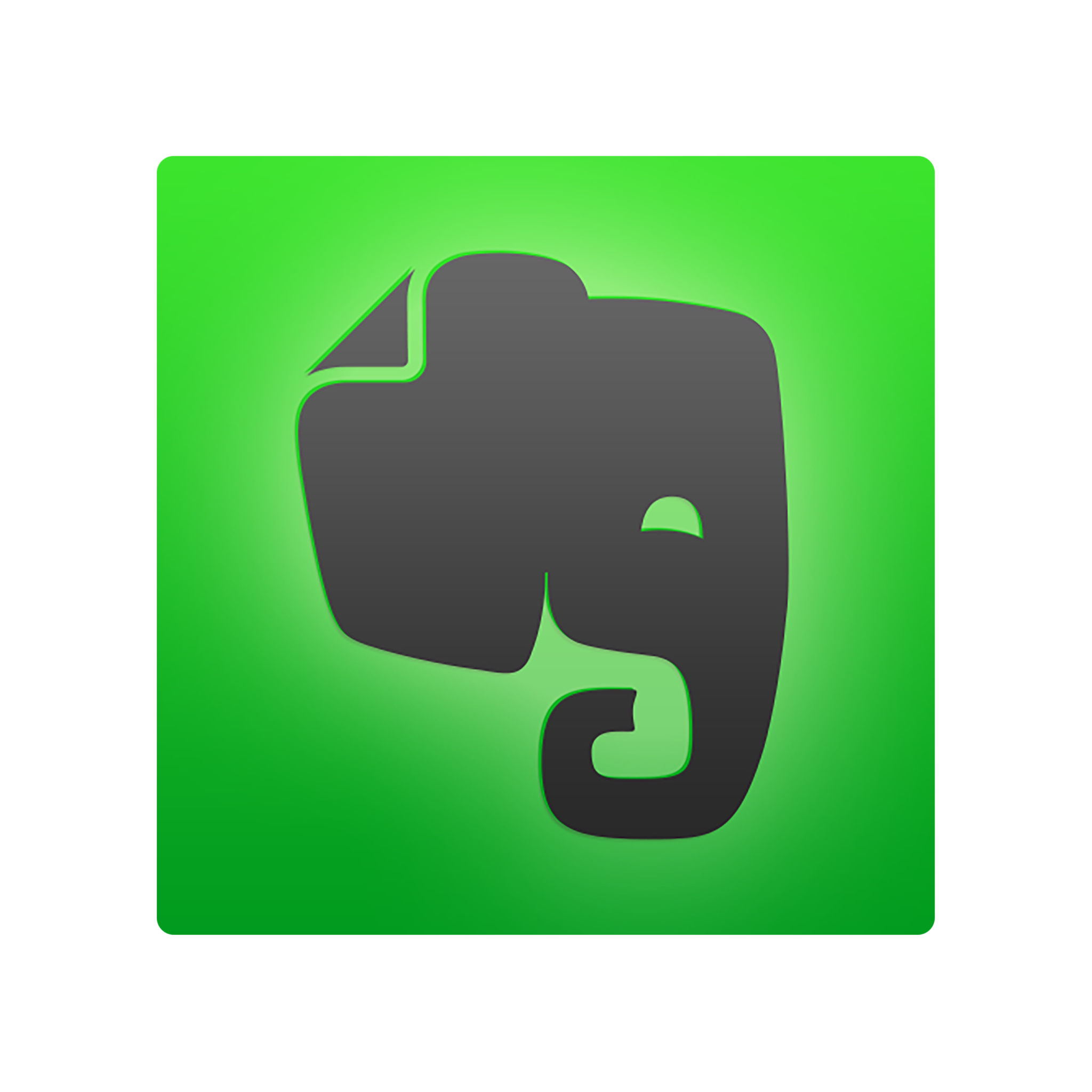 Evernote app logo