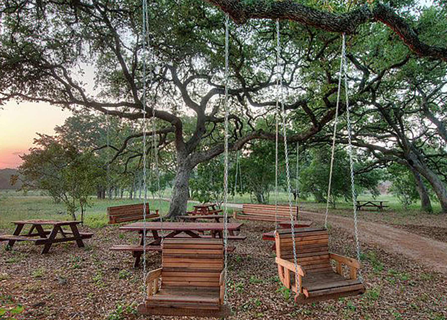 LBJ Wildflower Center