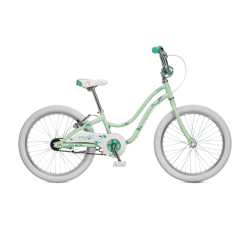 Beach cruiser bike