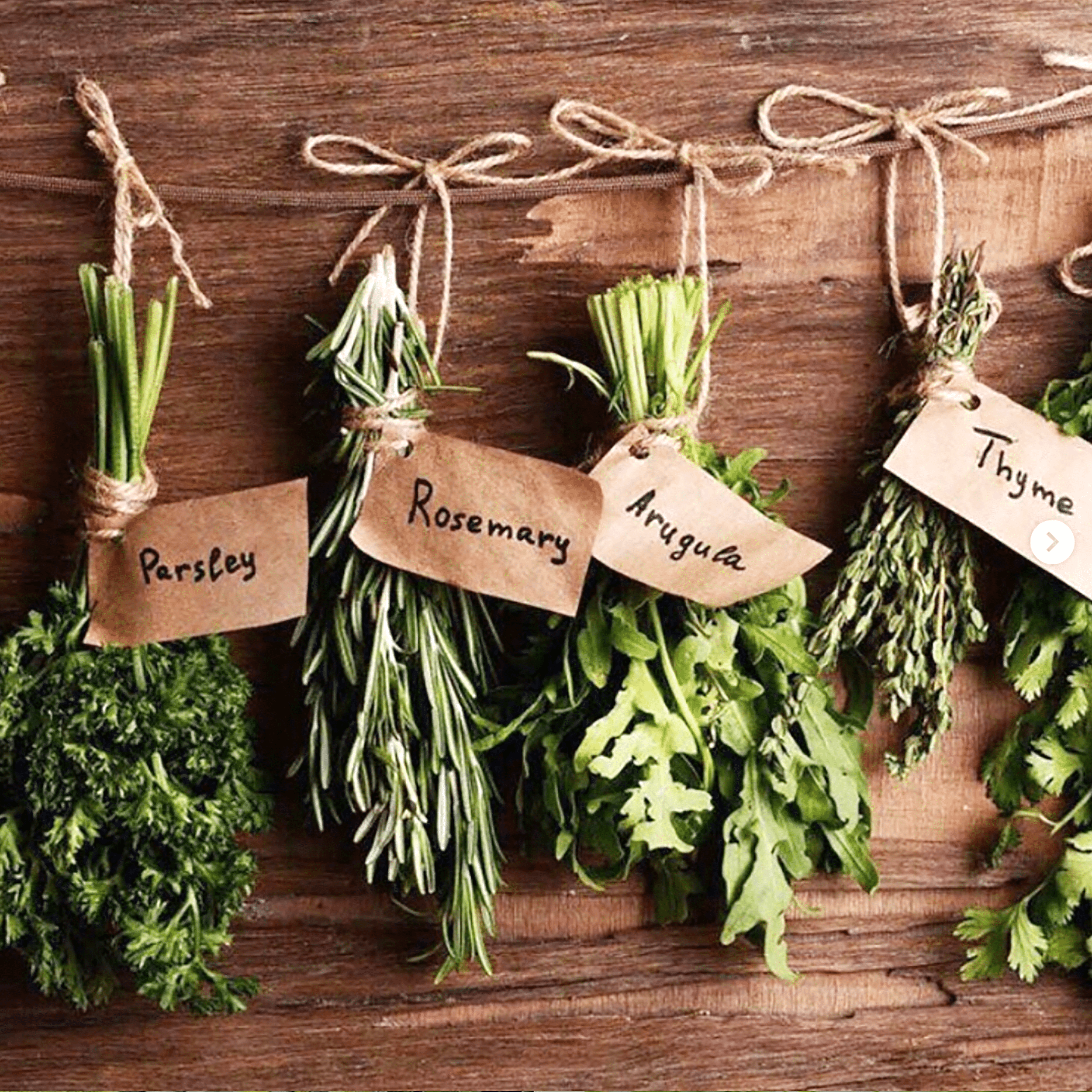Fresh herb bundles