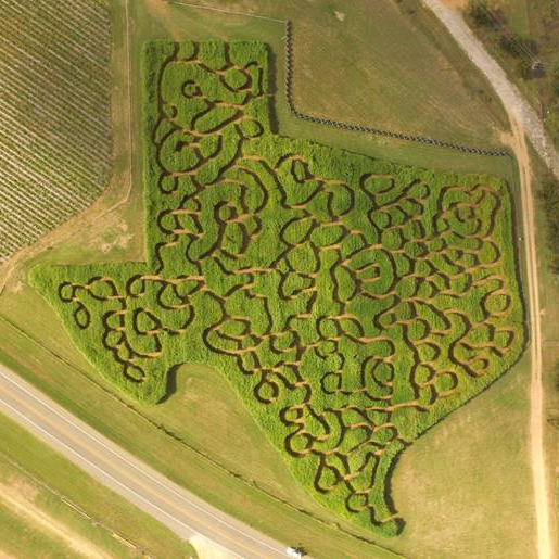 Texas-shaped maze